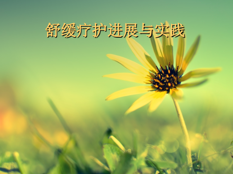 舒缓疗护.ppt_第1页