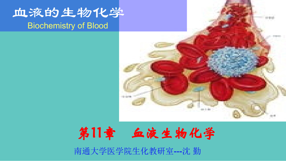 血液生化.ppt_第1页