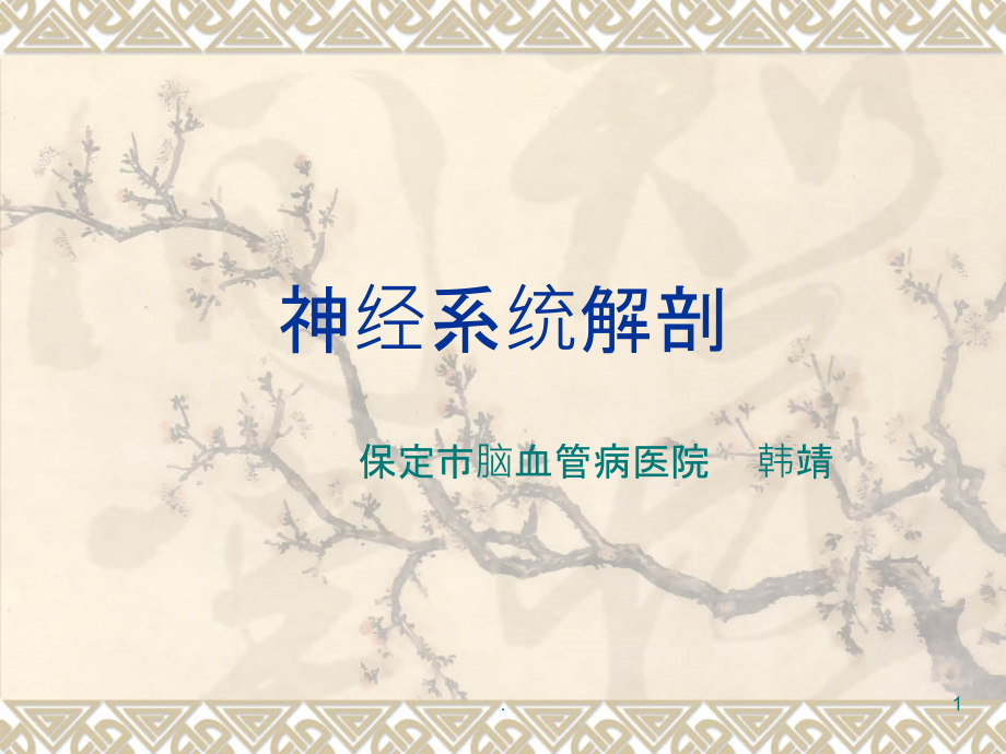 神经系统概论.ppt_第1页