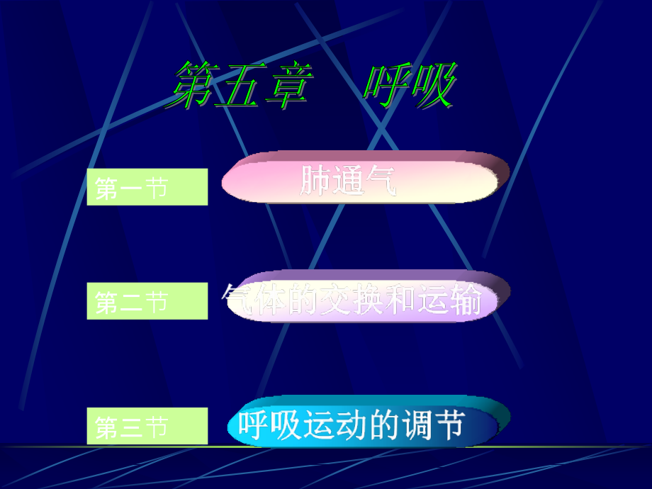 生理呼吸.ppt_第1页