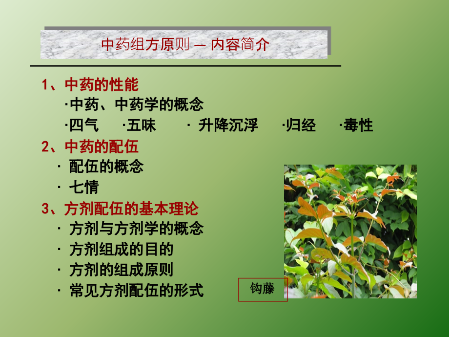 中药组方原则.ppt_第2页