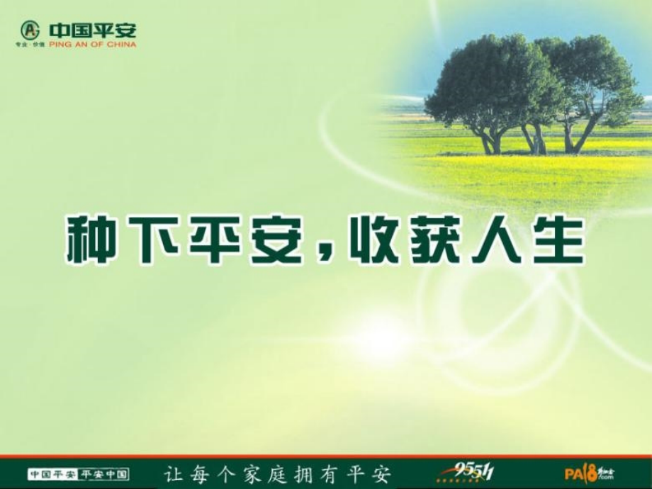 平安保险公司介绍.ppt_第1页