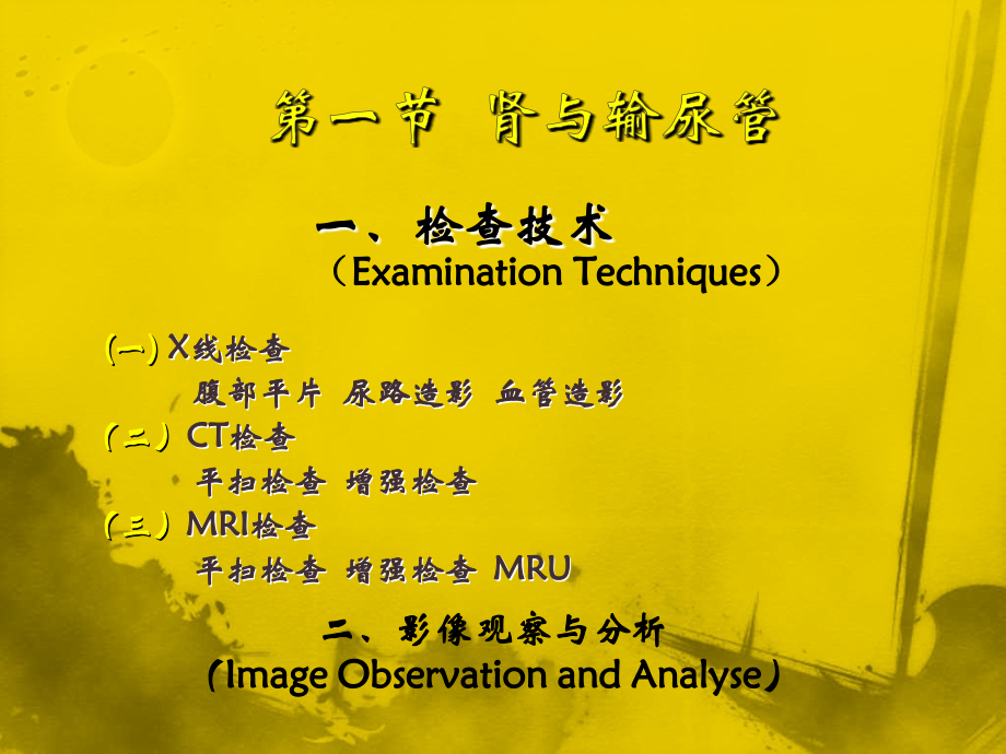 泌尿系统影像诊断ppt课件.ppt_第2页