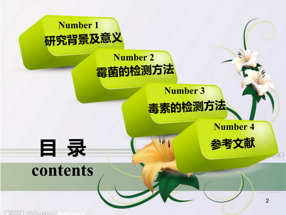 霉菌和毒素的检测方法PPT课件.ppt_第2页