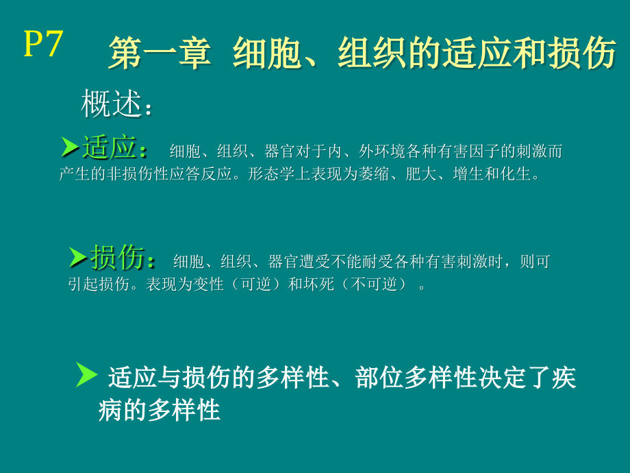 细胞、组织上的适应和损伤.ppt_第2页