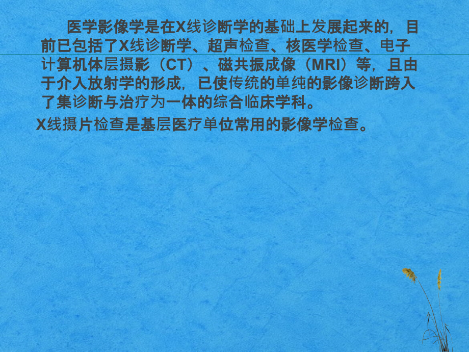 临床常见X线判读.ppt_第2页