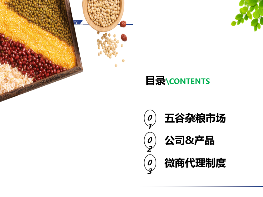 尚禾益新微商介绍(外发PDF).ppt_第2页