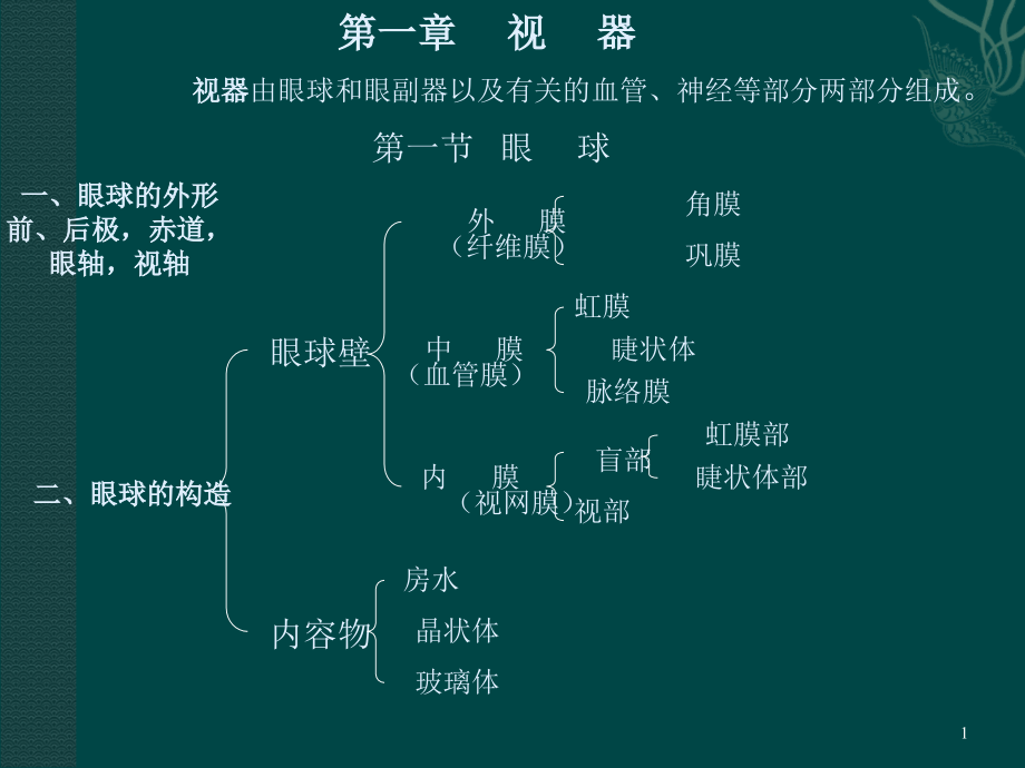 眼科基础.ppt_第1页