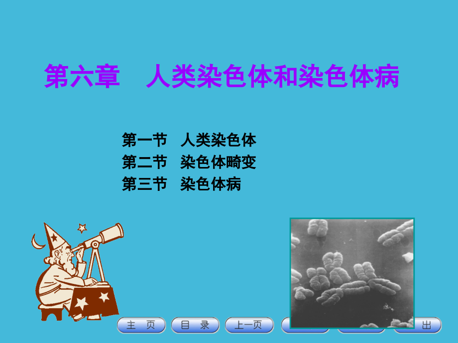 人类染色体和染色体病OKppt课件.ppt_第1页