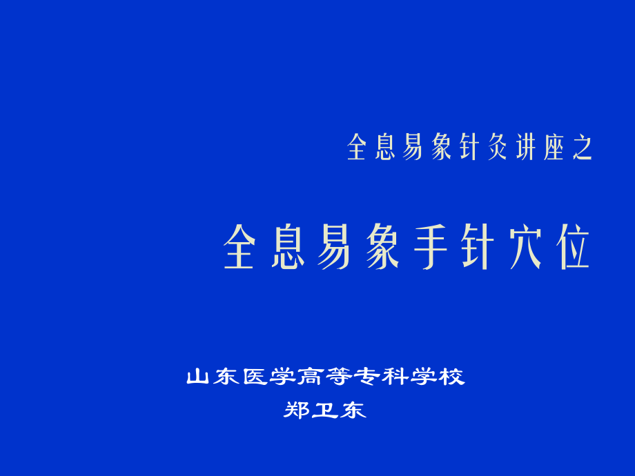 全息易象针灸手针穴位系统.ppt_第1页