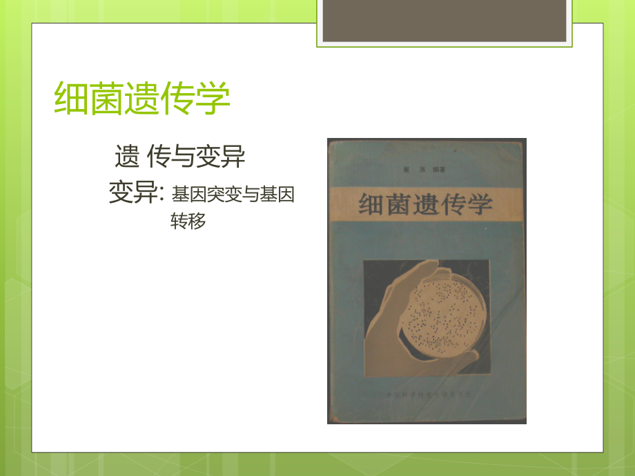 细菌遗传学.ppt_第1页