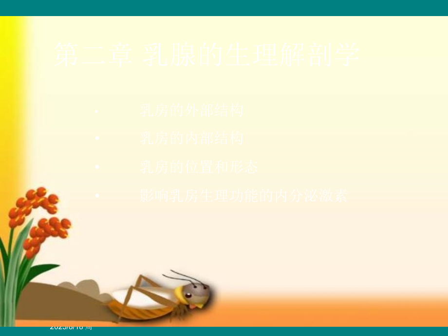 乳腺的生理解剖学.ppt_第2页