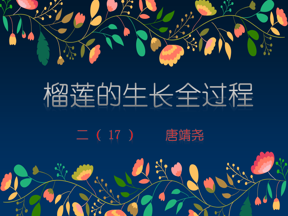 榴莲的生长全过程-小学生PPT.ppt_第1页