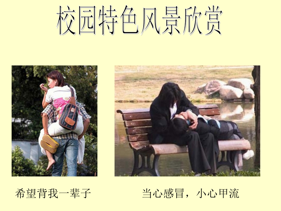 大学生正确的恋爱观.ppt_第2页