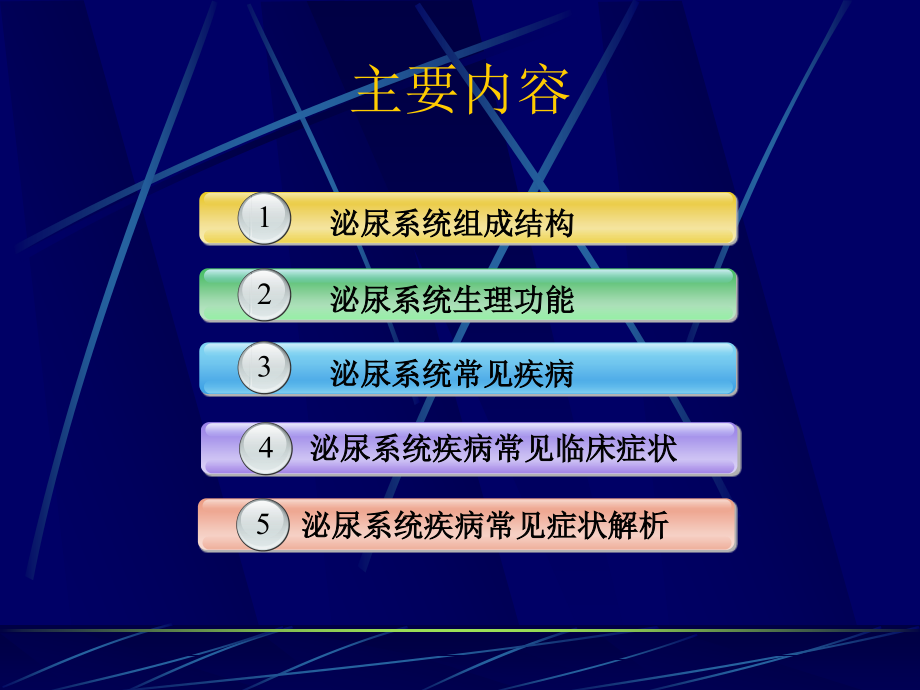 泌尿生殖系统常见疾病与症状分析.ppt_第2页