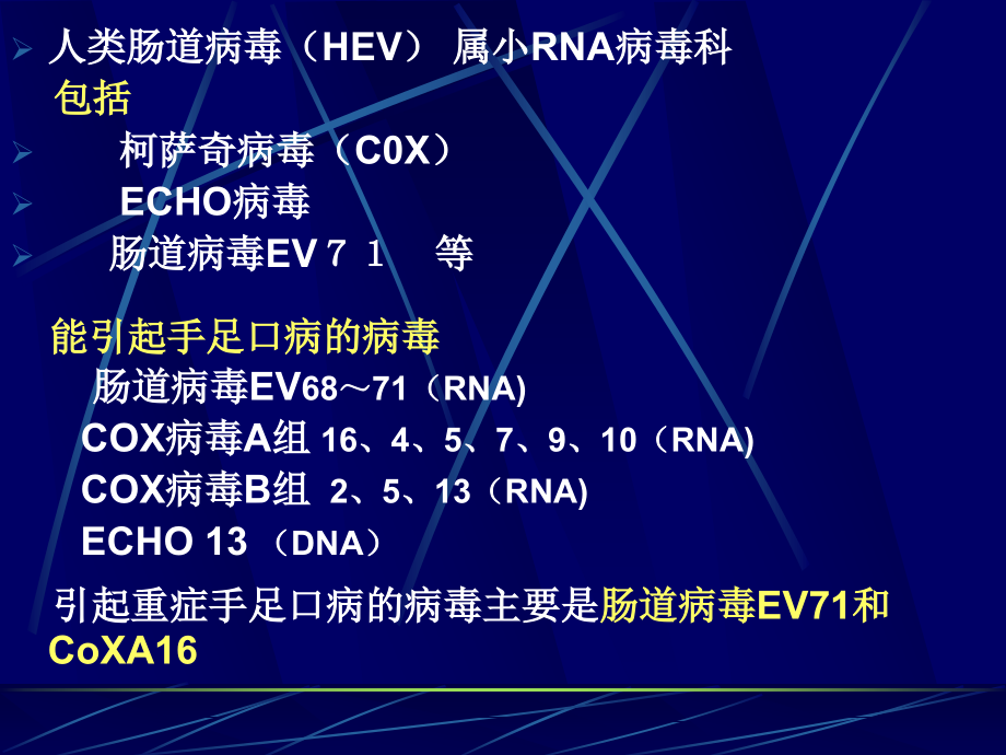 手足口病的流行态势及防治策略.ppt_第2页