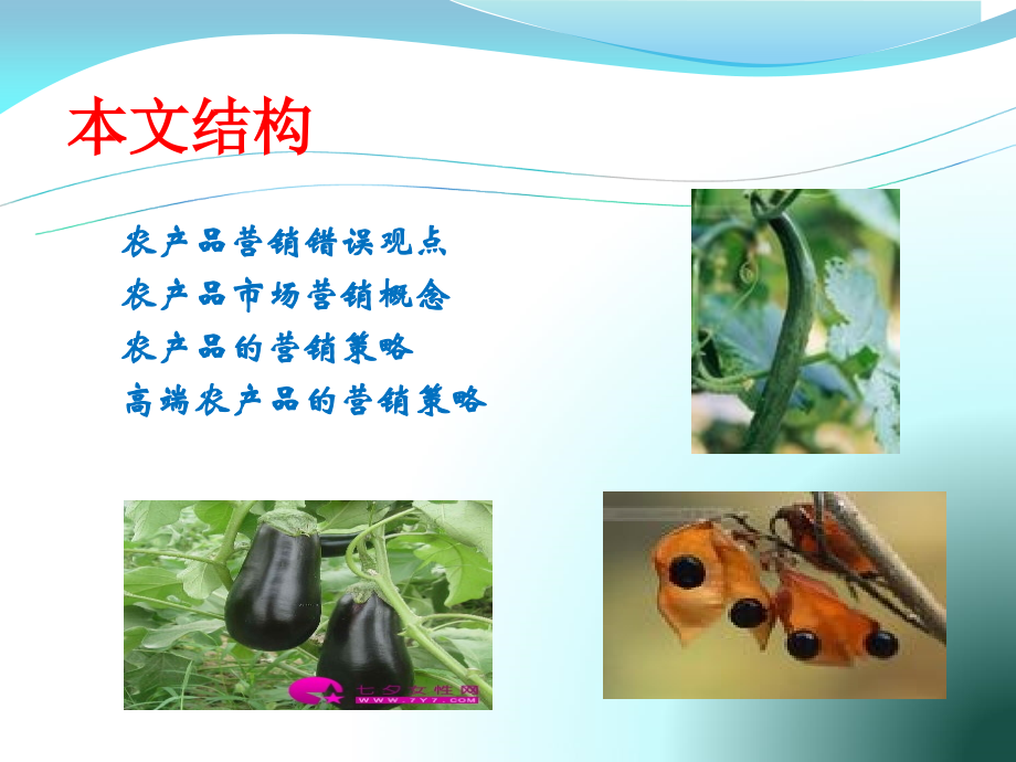 老字号农产品市场营销策略.ppt_第2页