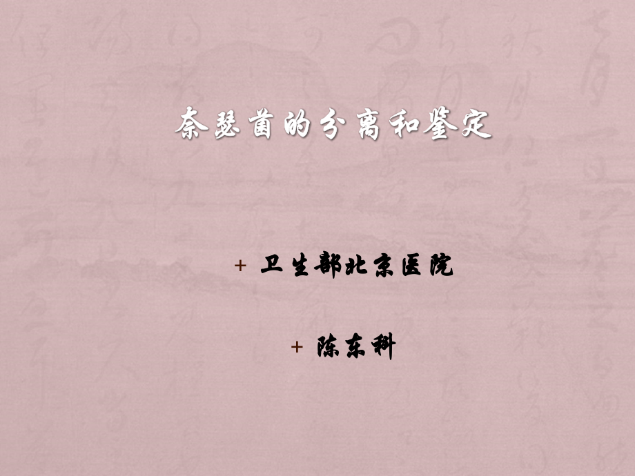 奈瑟菌的分离和鉴定.ppt_第1页