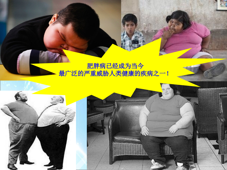 膳食营养与肥胖症.ppt_第2页