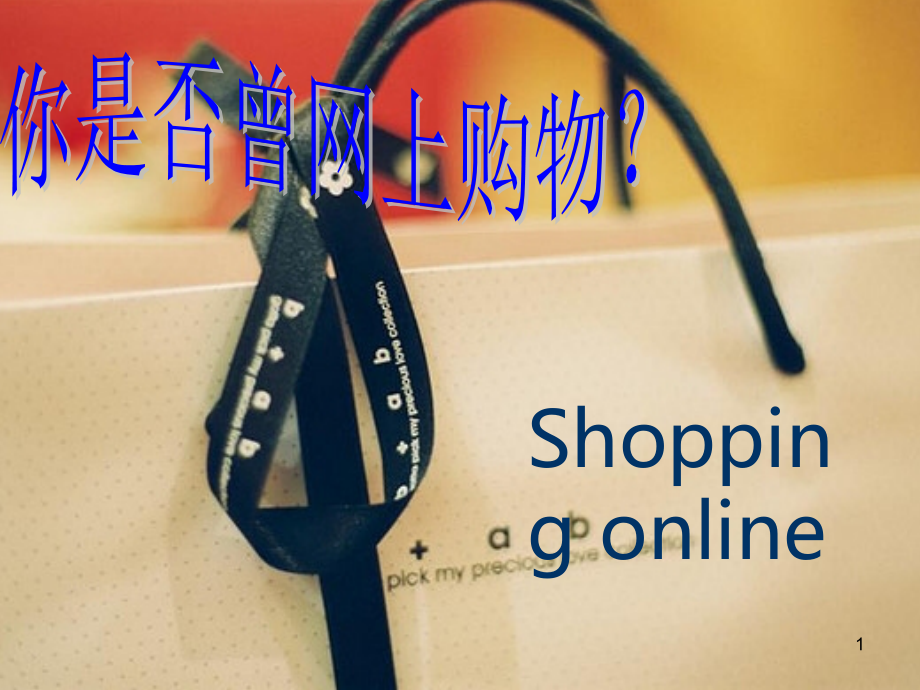毛概网购.ppt_第1页