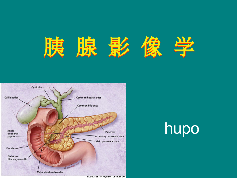 胰腺影像学.ppt_第1页
