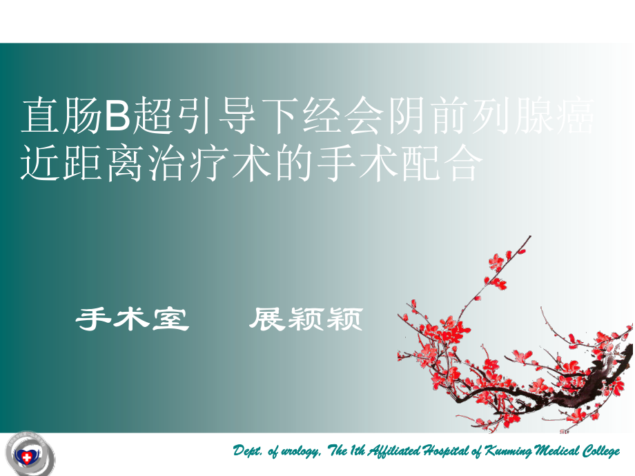 直肠B超引导下经会阴前列腺癌近距离治疗术的手术配合.ppt_第1页