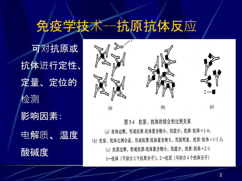免疫学技术.ppt_第2页