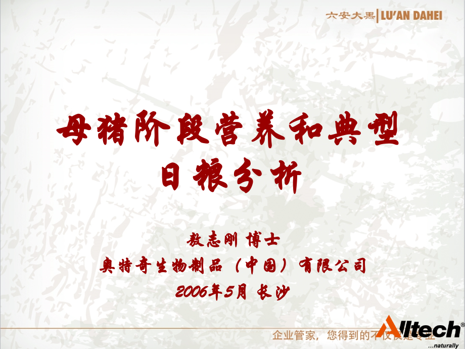 母猪典型日粮分析-May06.ppt_第1页