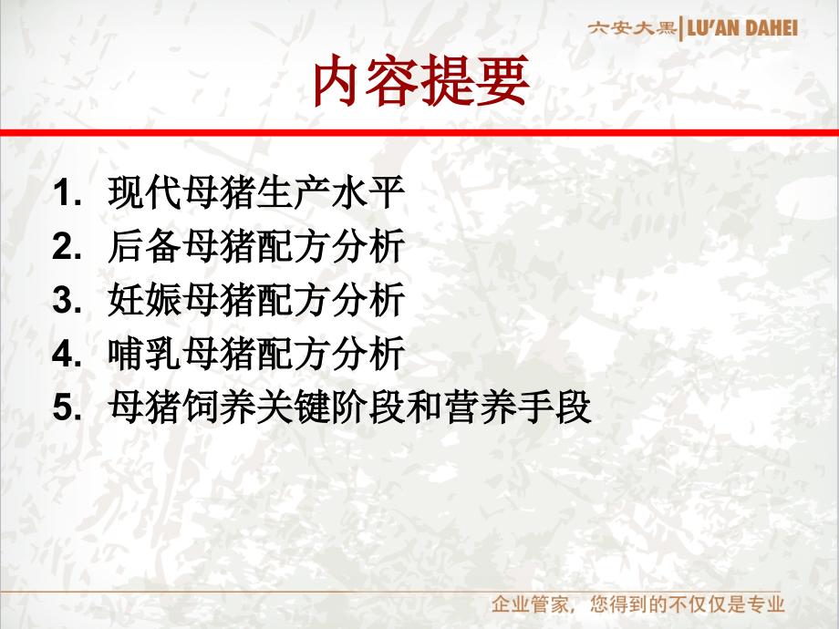 母猪典型日粮分析-May06.ppt_第2页