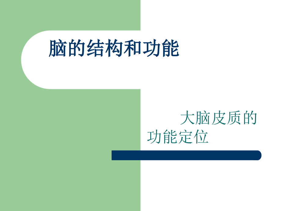 大脑皮质的功能定位.ppt_第1页