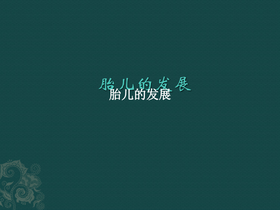 胎儿婴儿的发展.ppt_第1页