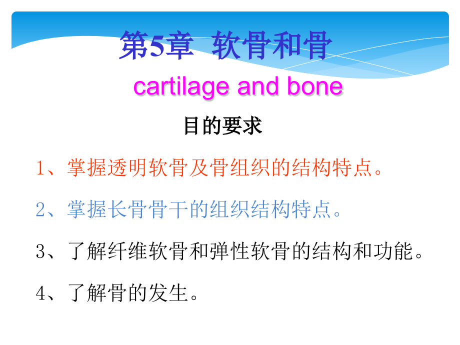 软骨与骨.ppt_第1页