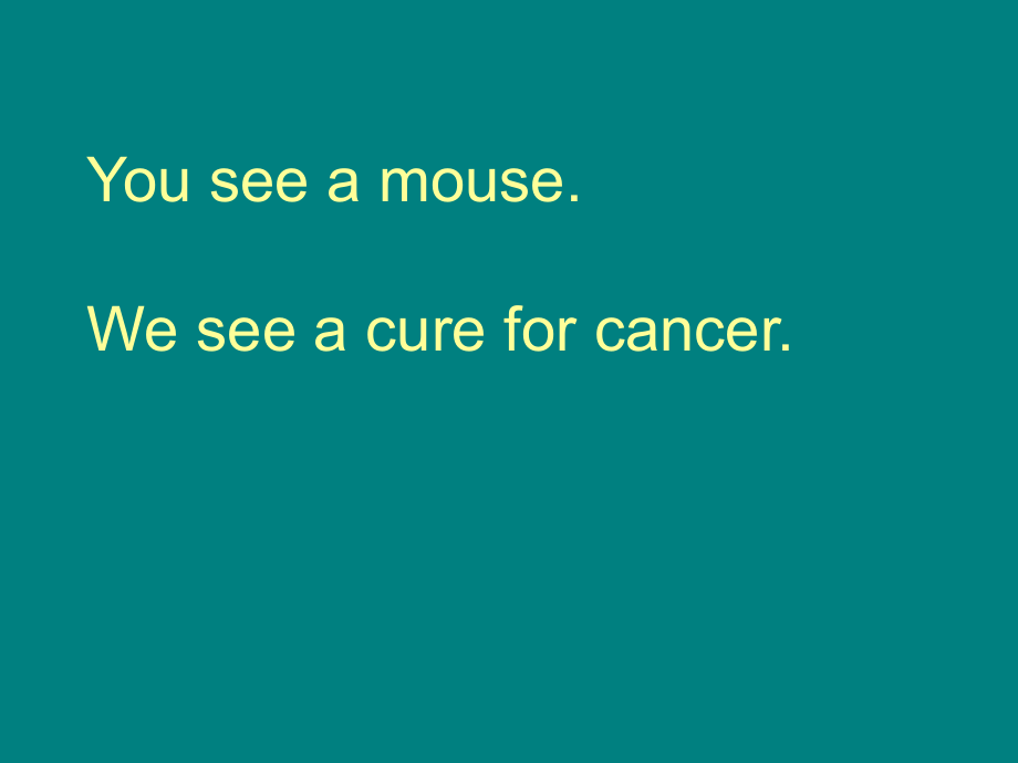 肿瘤研究与实验动物.ppt_第2页