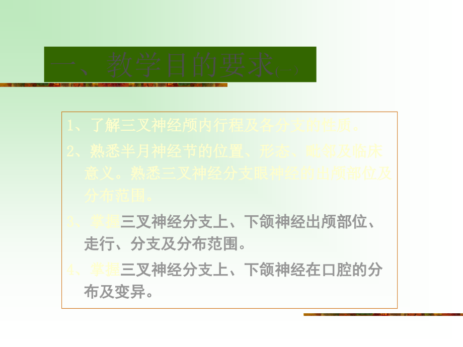 三叉神经和面神经.ppt_第2页