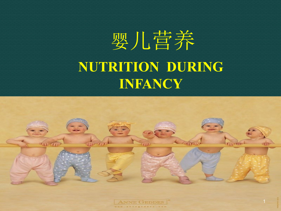 营养及婴儿喂养-.ppt_第1页