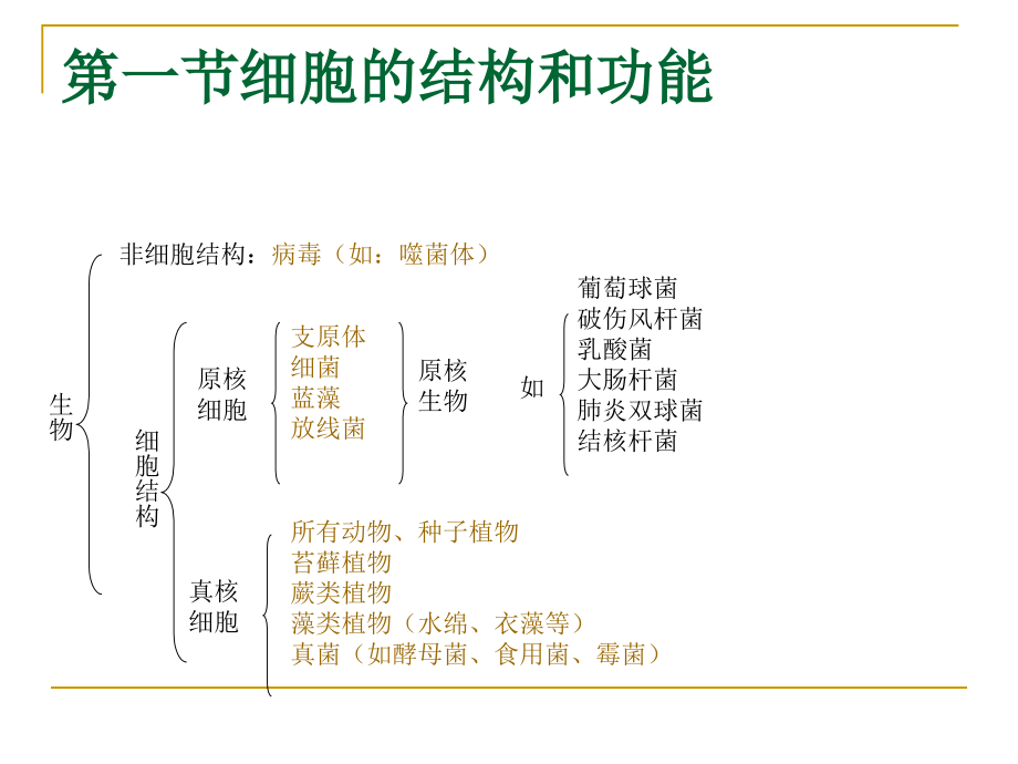 细胞遗传学基础ppt课件.ppt_第2页
