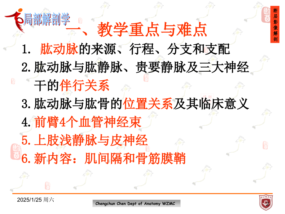 局部解剖学：臂前区和前臂前区.ppt_第2页