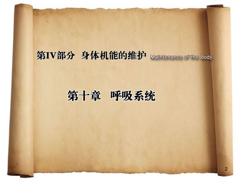 人体解剖生理学 第九章呼吸系统B(S).ppt_第2页