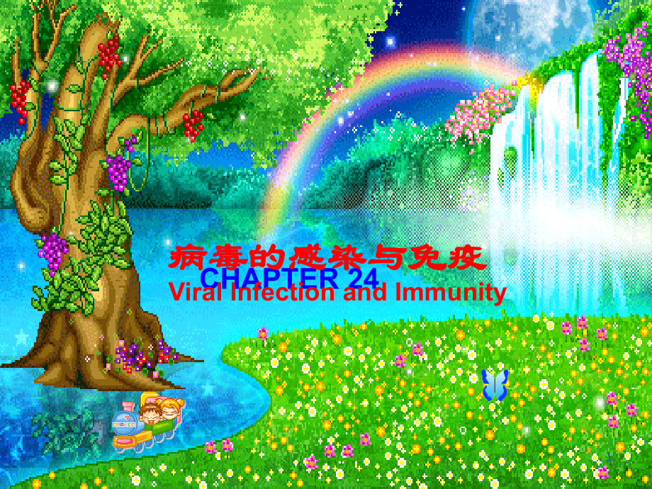 医学微生物学：24. 病毒的感染与免疫.ppt_第1页