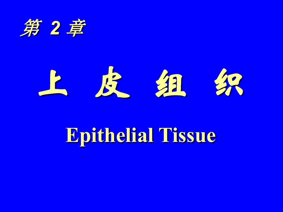 组织与胚胎学课件：02 上皮组织.ppt_第1页