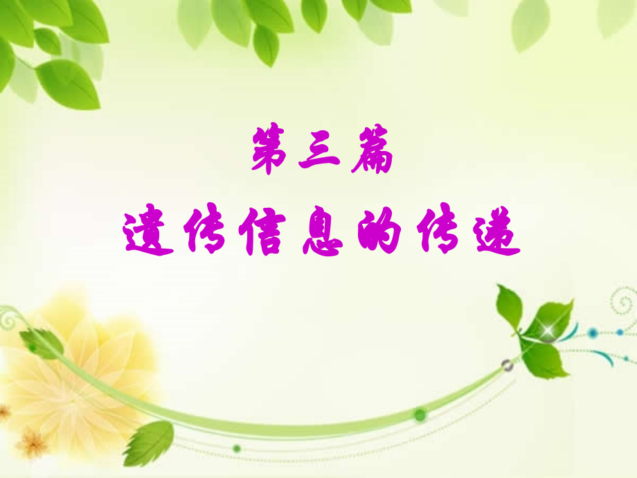 生物化学和分子生物学：第十三章 真核基因与基因组.pptx_第1页