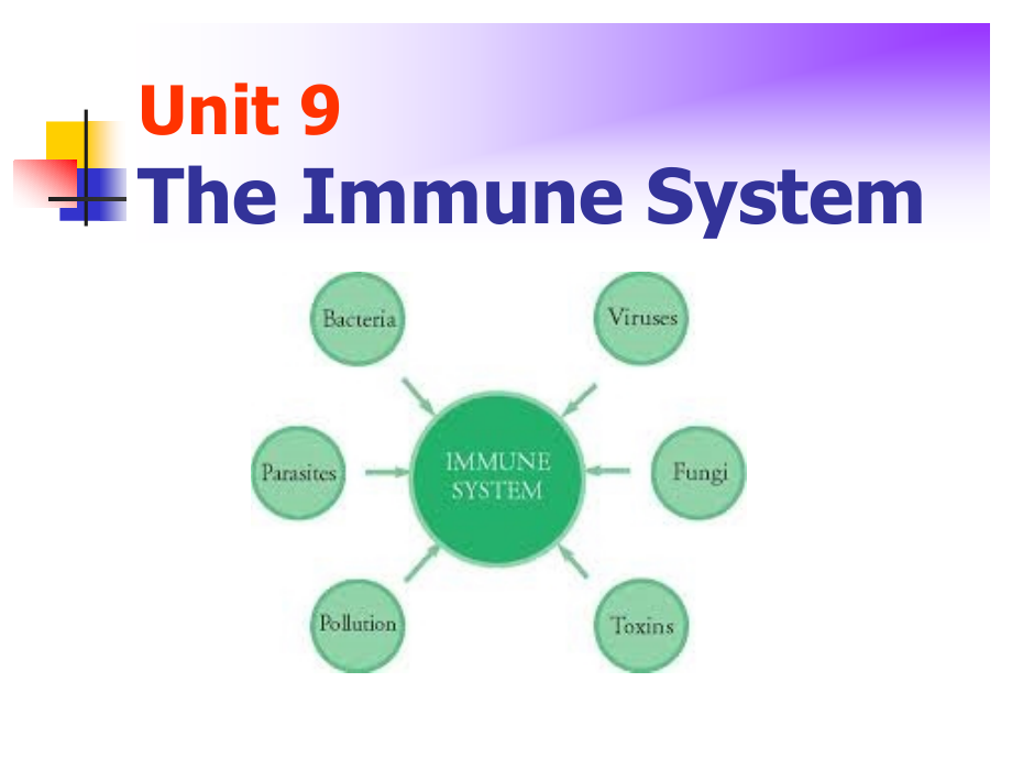 基础医学英语教学课件：Unit 9 Immune System.ppt_第1页