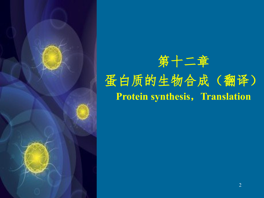 生物化学与分子生物学：第17章 蛋白质的生物合成.ppt_第2页