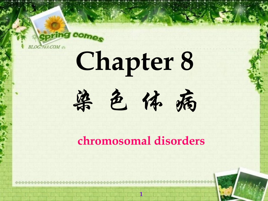 遗传学---第8章-染色体病.ppt_第1页