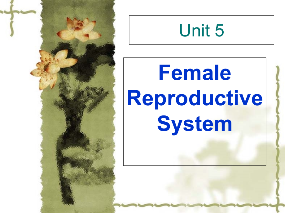 基础医学英语教学课件：Unit 5 Female Reproductive System.ppt_第1页