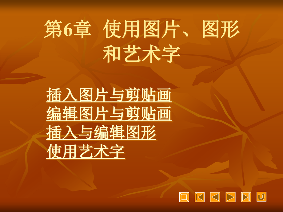 word2007软件的图片和艺术字的使用.pptx_第1页