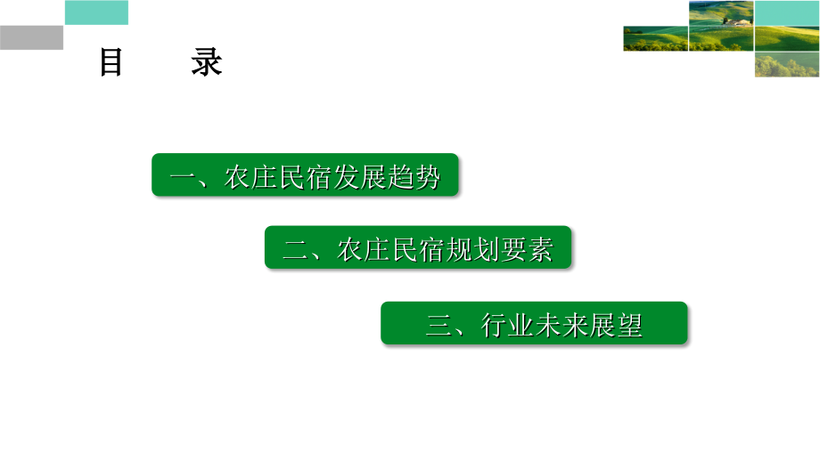 农庄民宿发展新趋势与规划重点PPT课件.ppt_第2页