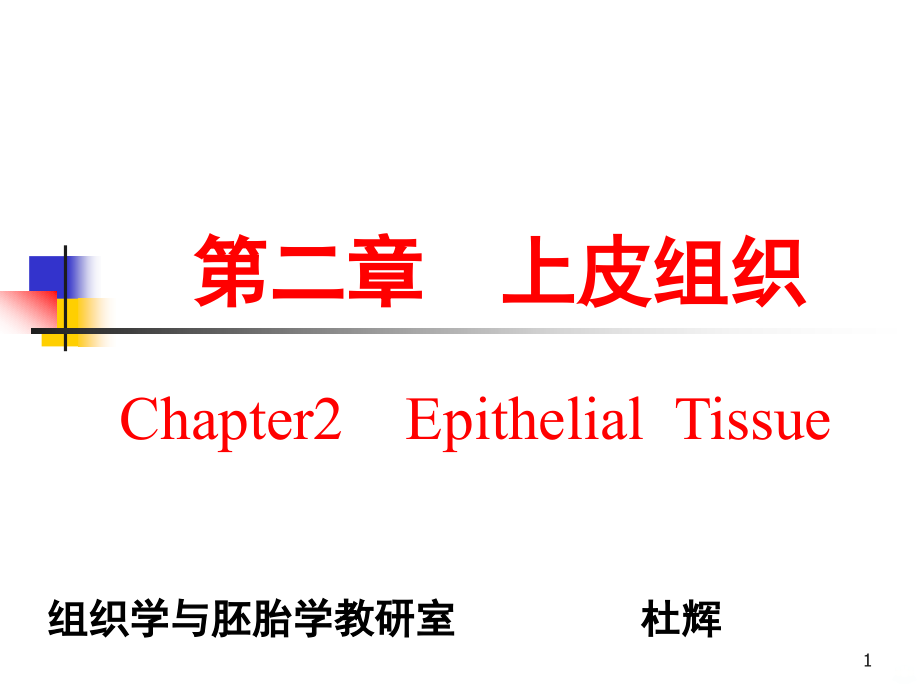 大学组织学与胚胎学上皮组织PPT课件.ppt_第1页