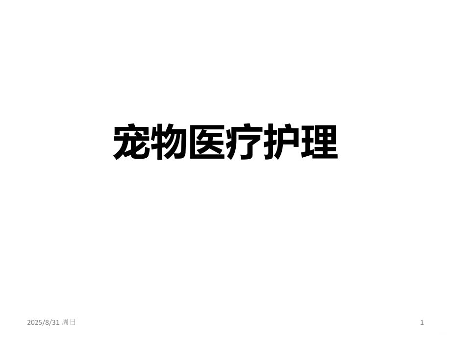 宠物医疗护理PPT课件.ppt_第1页