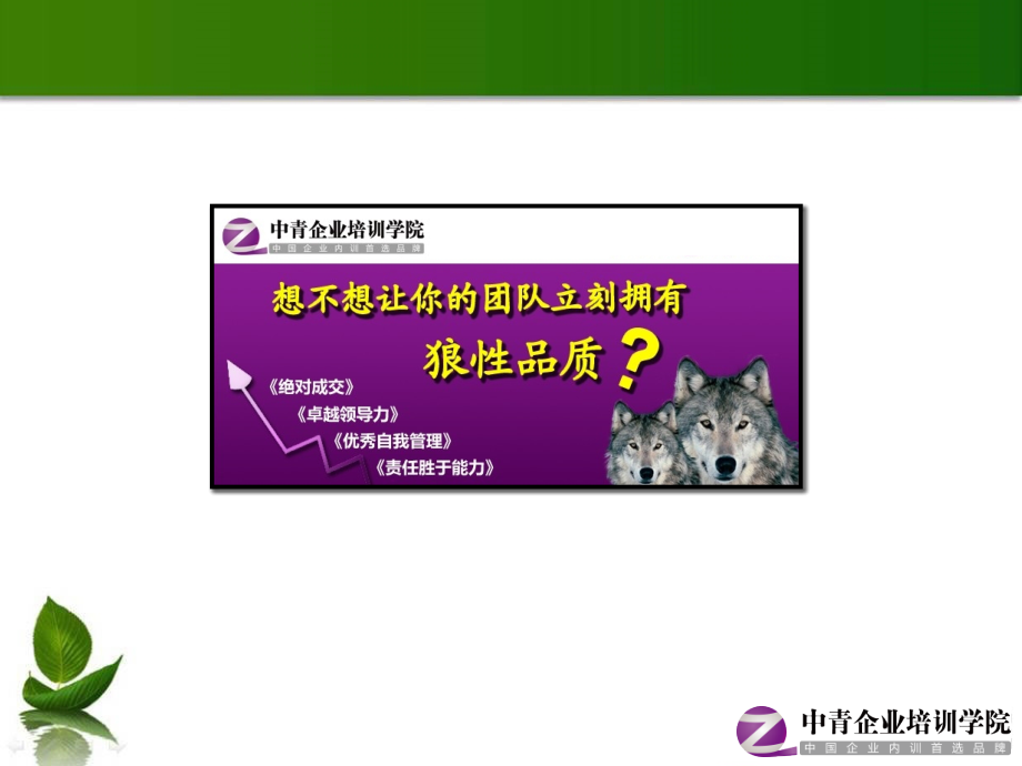 企业高绩效团队提升训练中青PPT课件.ppt_第2页